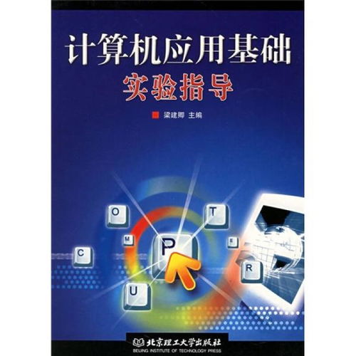 計算機應用基礎實驗指導（第二版）