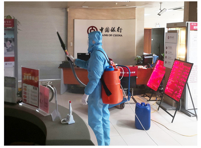 上海室內(nèi)空氣凈化與專業(yè)除甲醛服務(wù) 冰蟲消毒服務(wù)的全方位守護(hù)